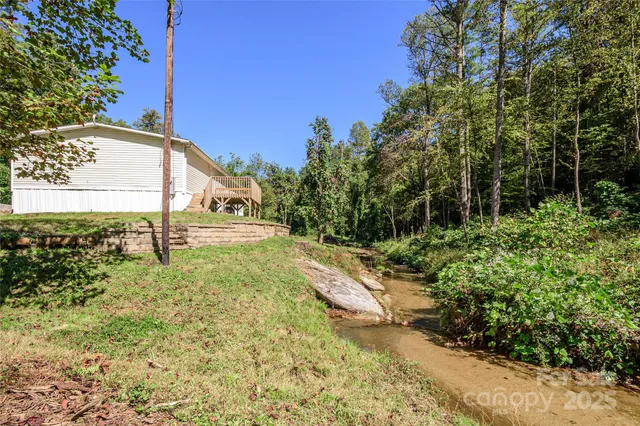 a view of a garden with plants