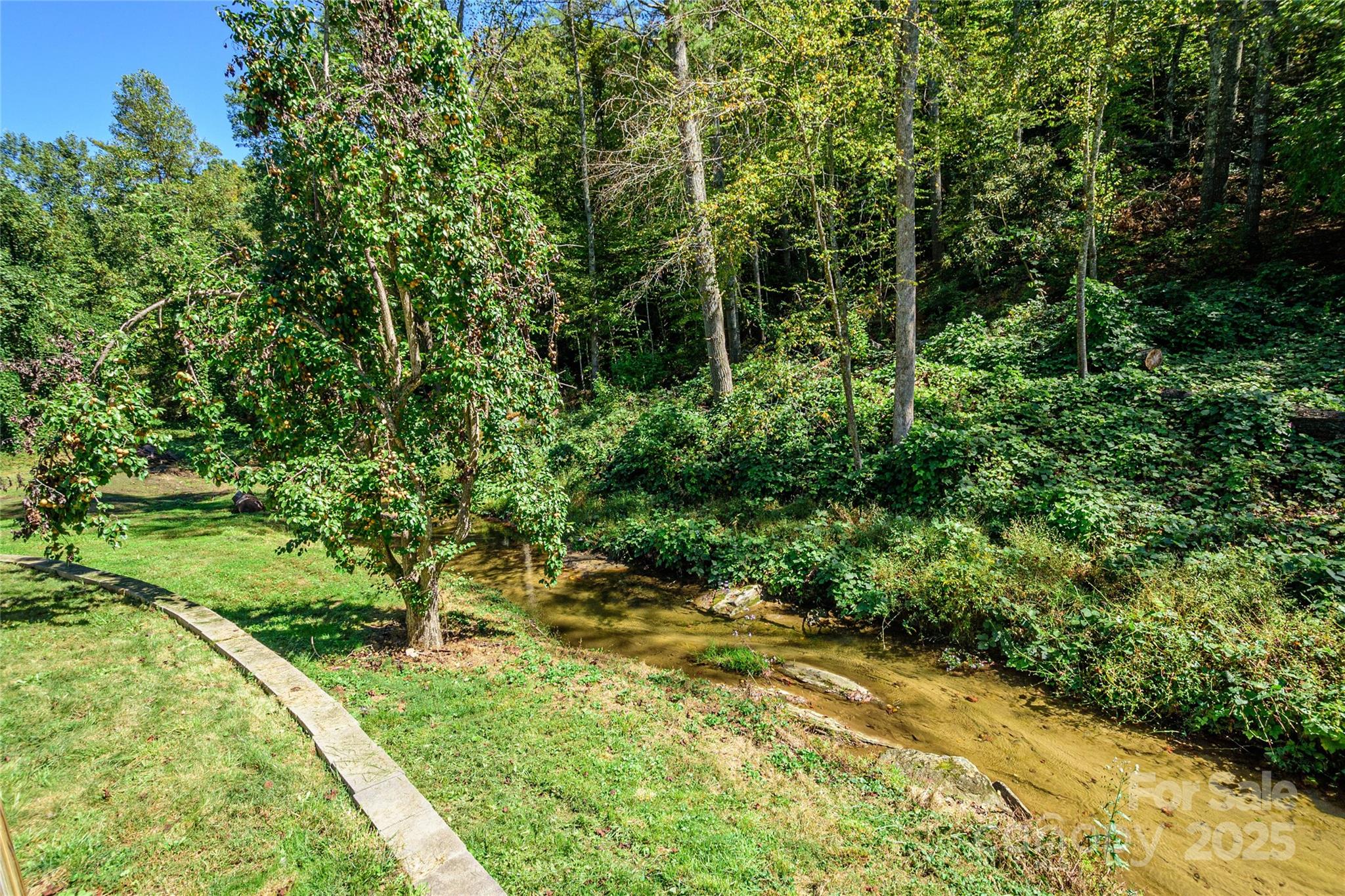 1361 Pleasant Grove Church Road Hendersonville, NC 28739 - Photo 44 of 48 a view of a yard with plants and large trees