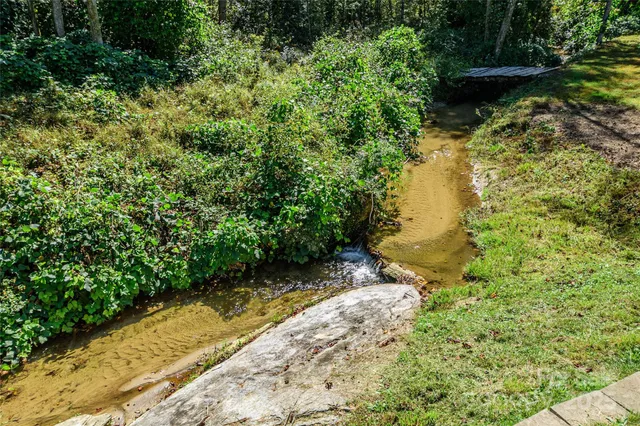 a view of a yard with plants and large trees