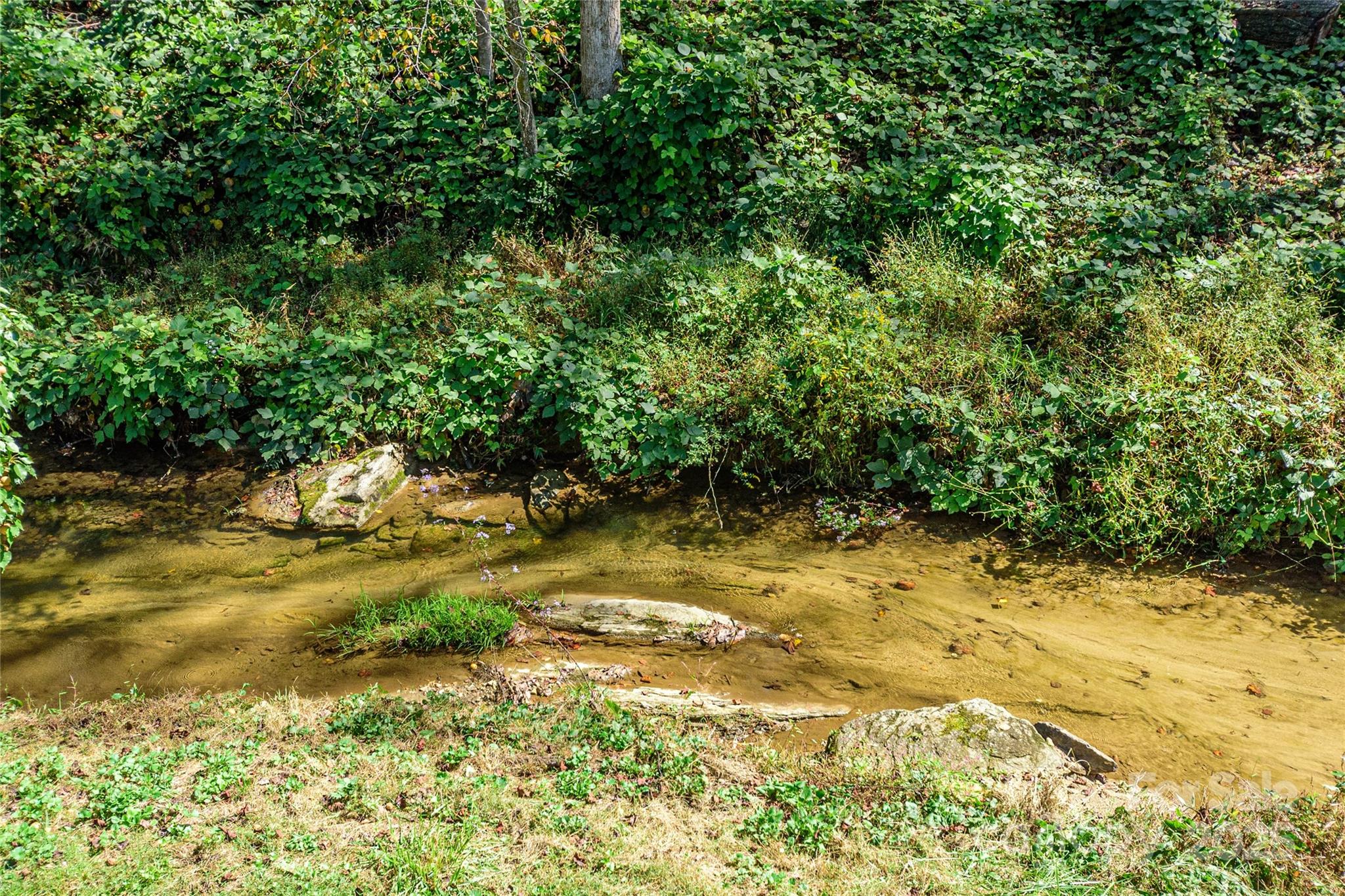 1361 Pleasant Grove Church Road Hendersonville, NC 28739 - Photo 48 of 48 a view of yard with green space