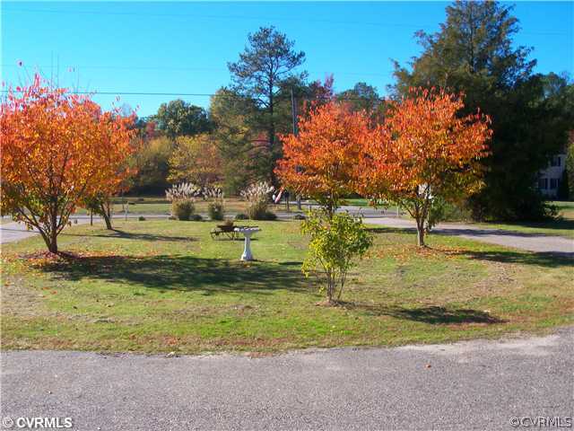 10306 Williamsville Road Hanover, VA 23069 - Photo 3 of 11 Other - Front Yard to Road