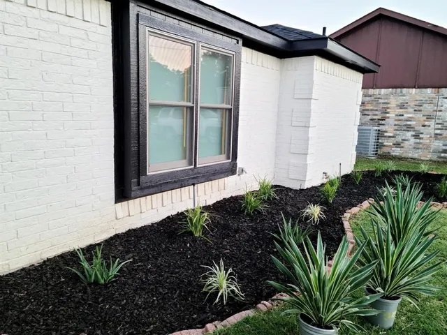 a flower plants in front of a door