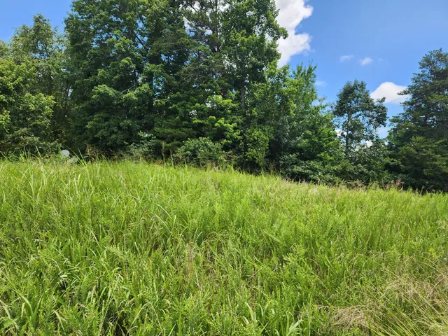a view of a garden from a lake