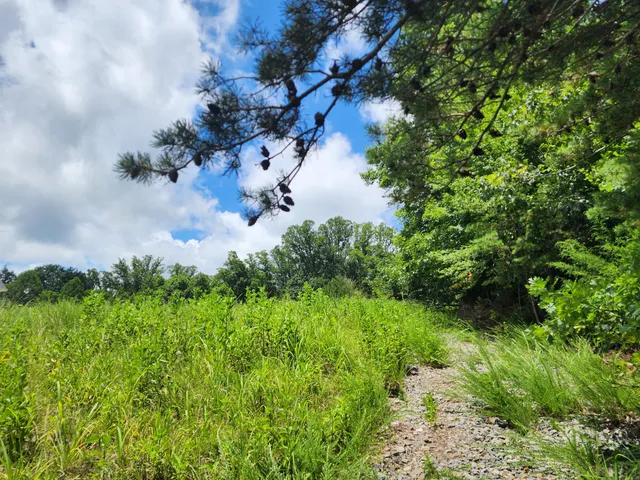 a view of a lake with houses in the back