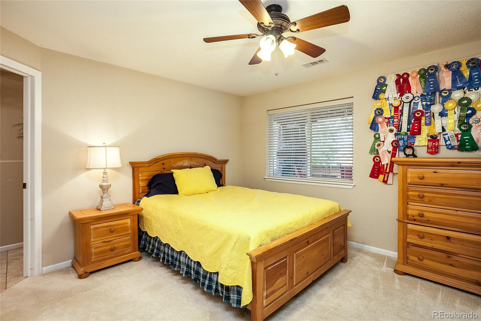 4381 Ivycrest Point Highlands Ranch, CO 80130 - Photo 30 of 35 Gallery Image 30