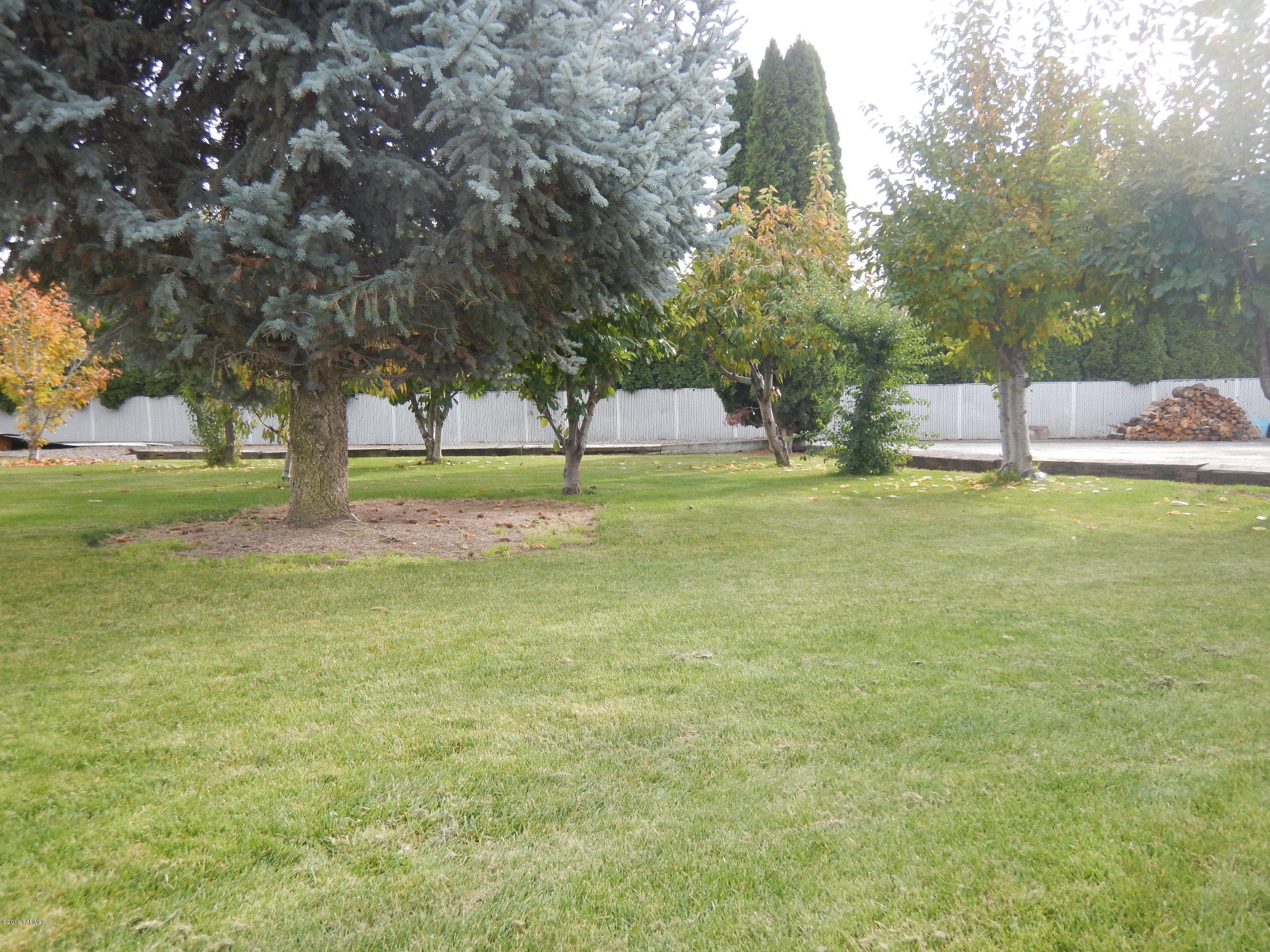 4911 Mieras Road Yakima, WA 98901 - Photo 14 of 58 a view of a garden with a tree