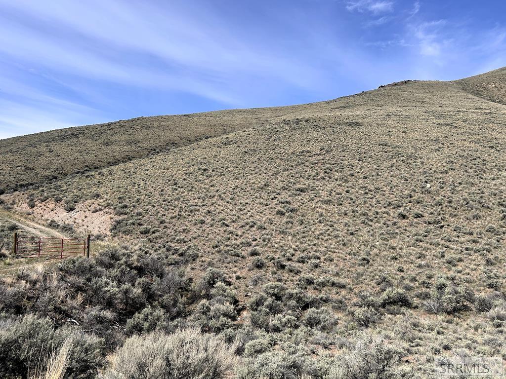 0 McKim Creek Road Salmon, ID 83467 - Photo 15 of 21