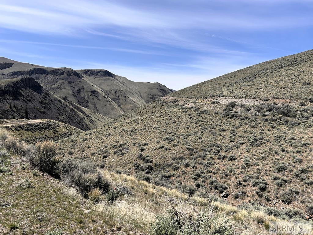 0 McKim Creek Road Salmon, ID 83467 - Photo 17 of 21