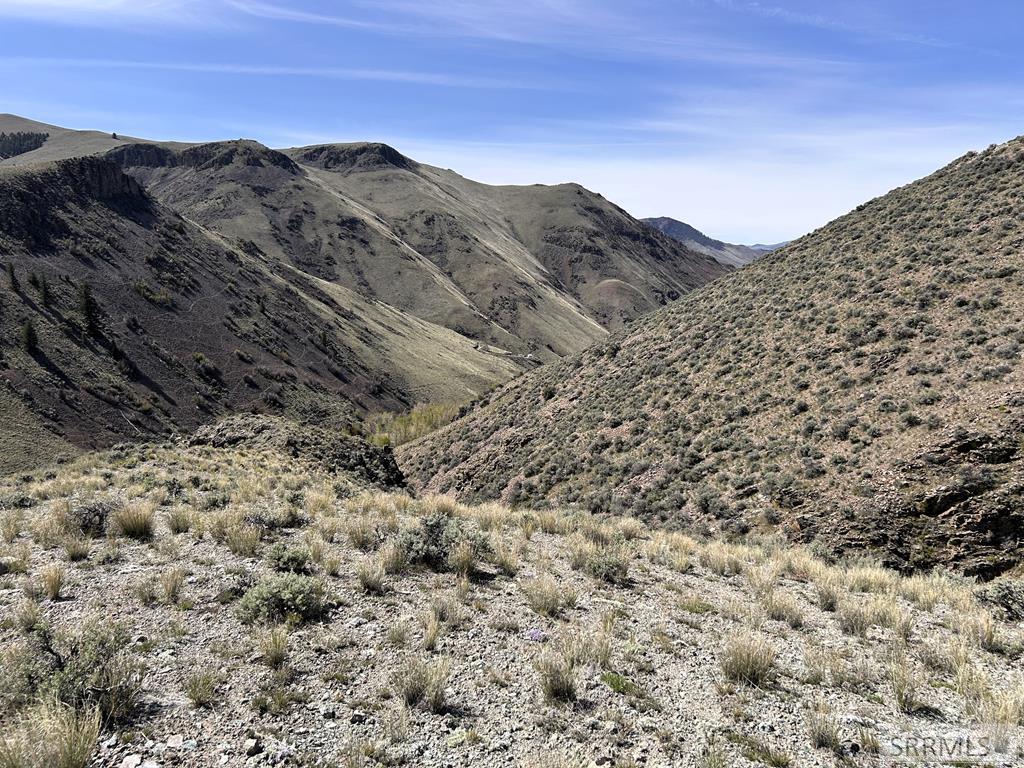 0 McKim Creek Road Salmon, ID 83467 - Photo 18 of 21