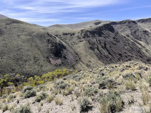 $145,000 | 0 McKim Creek Road, Salmon, ID 83467