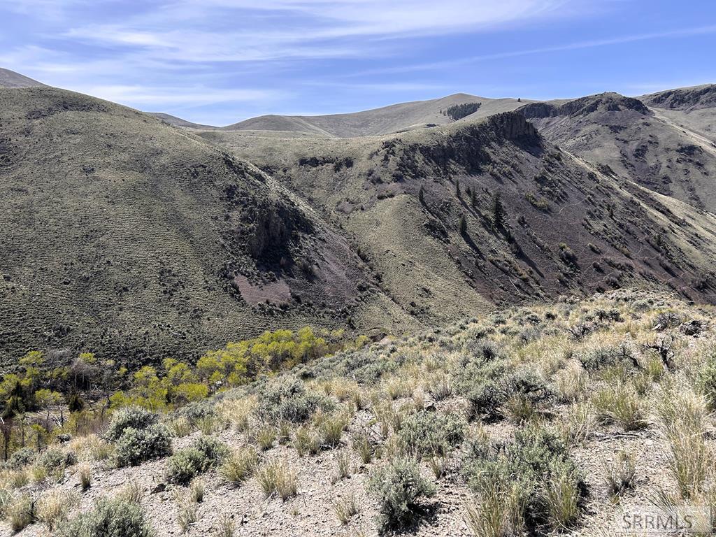 0 McKim Creek Road Salmon, ID 83467 - Photo 19 of 21