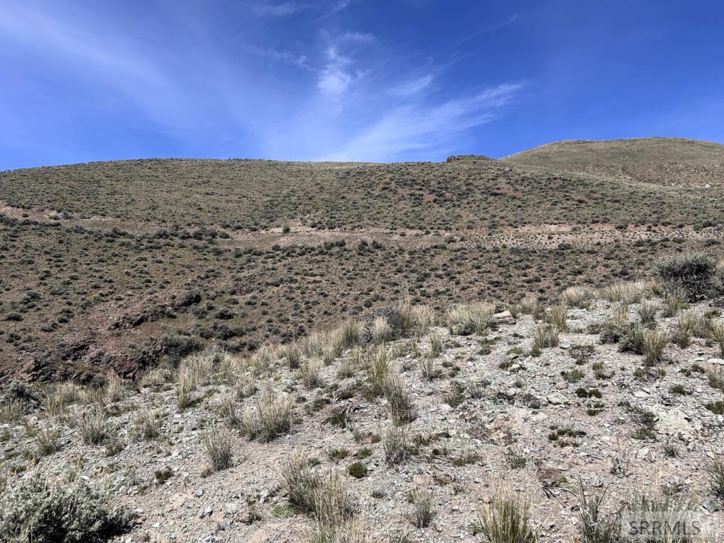 0 McKim Creek Road Salmon, ID 83467 - Photo 20 of 21