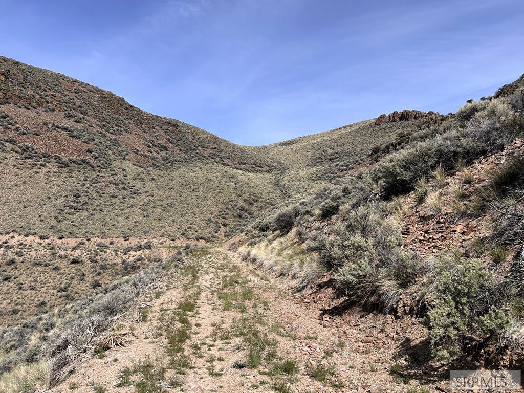 0 McKim Creek Road Salmon, ID 83467 - Photo 6 of 21