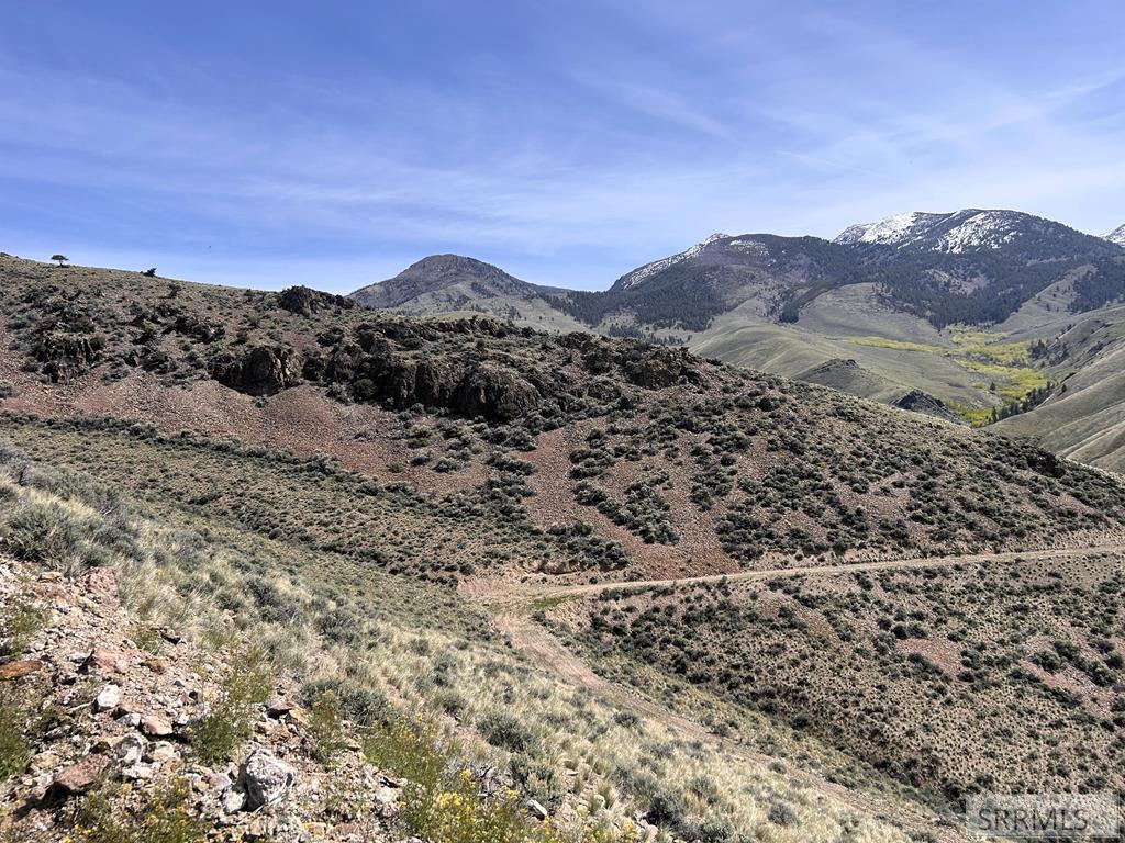 0 McKim Creek Road Salmon, ID 83467 - Photo 8 of 21