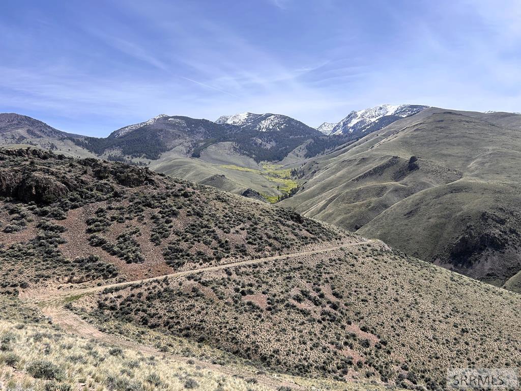 0 McKim Creek Road Salmon, ID 83467 - Photo 9 of 21
