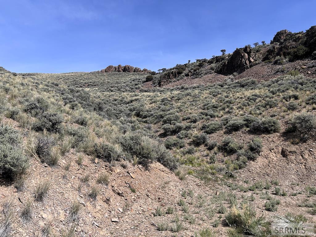 0 McKim Creek Road Salmon, ID 83467 - Photo 10 of 21