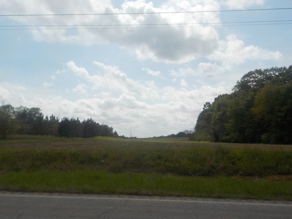 5.3-ac Memphis Church Road Dothan, AL 36301 - Photo 3 of 29