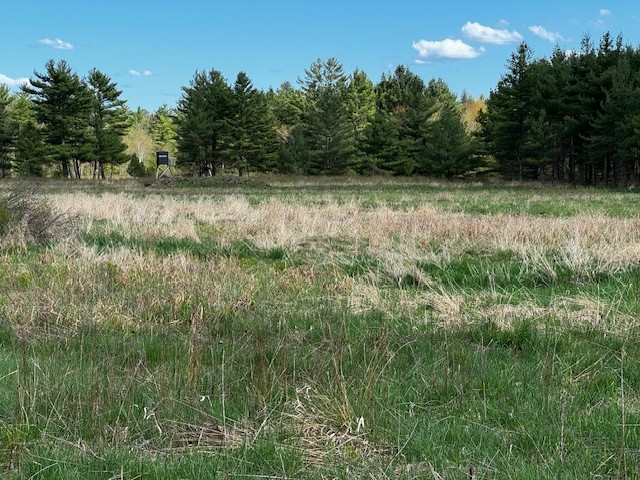 0 Granton Road Neillsville, WI 54456 - Photo 20 of 33