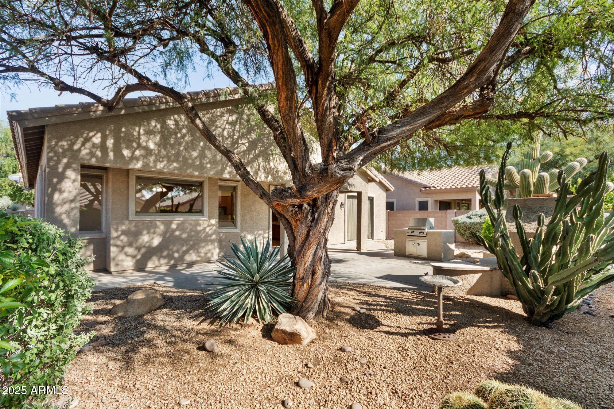 4825 East Kirkland Road Phoenix, AZ 85054 - Photo 30 of 30 Backyard