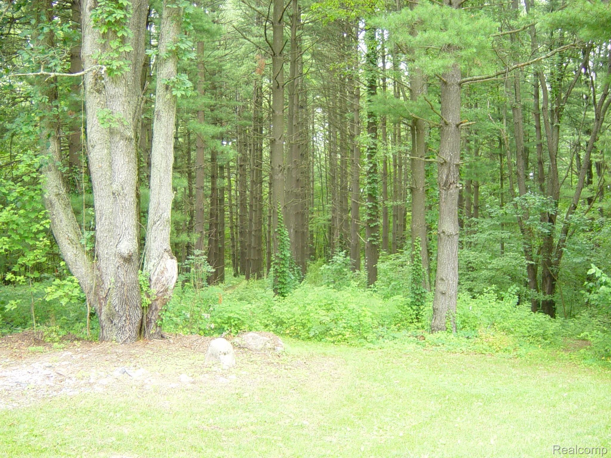 11241 Bohm Road Byron, MI 48418 - Photo 9 of 43 DSC00069.JPG