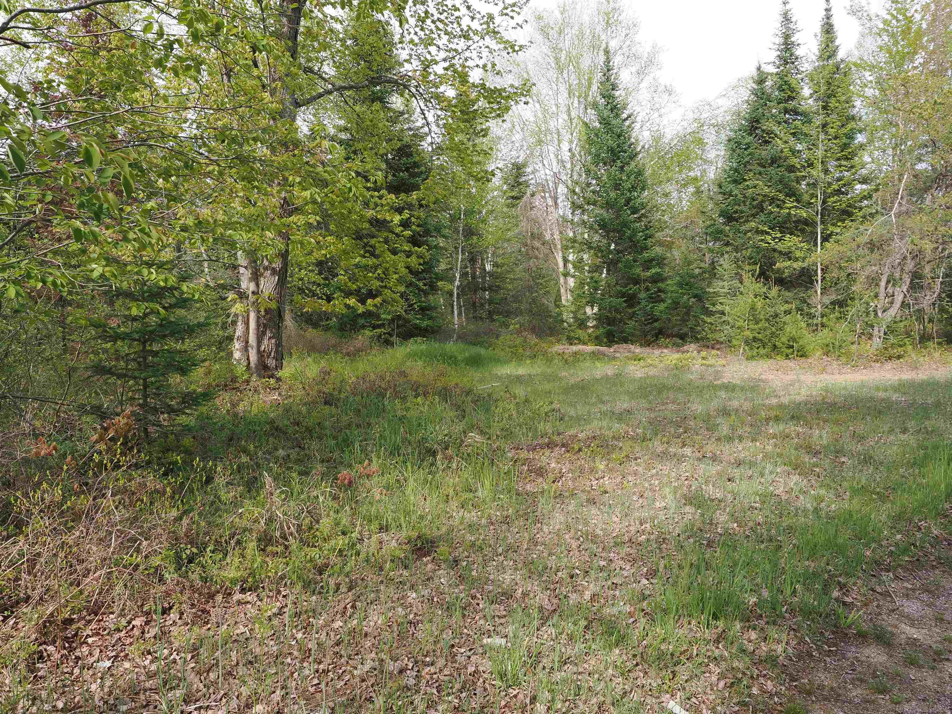 4011 Sandall Road Alpena, MI 49707 - Photo 50 of 73