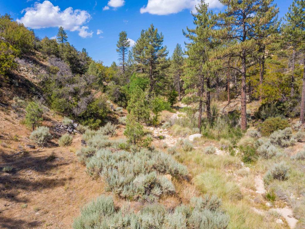 60833 Table Mountain Road Mountain Center, CA 92561 - Photo 11 of 35