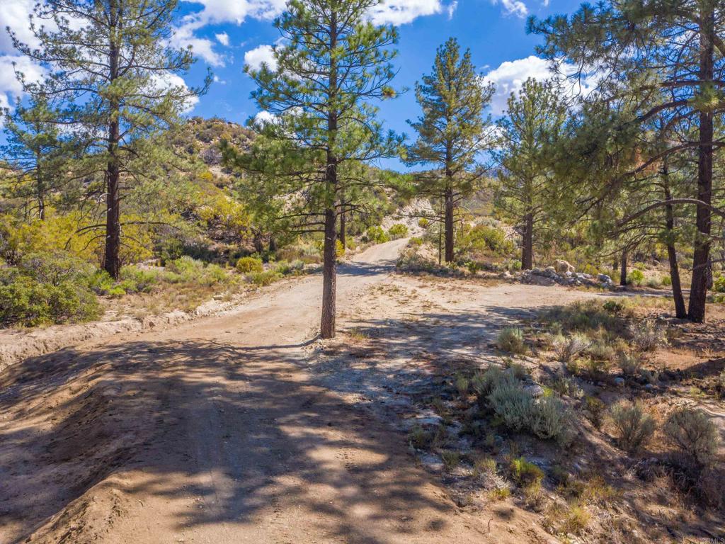 60833 Table Mountain Road Mountain Center, CA 92561 - Photo 4 of 35