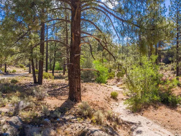 $895,000 | 60833 Table Mountain Road, Mountain Center, CA 92561
