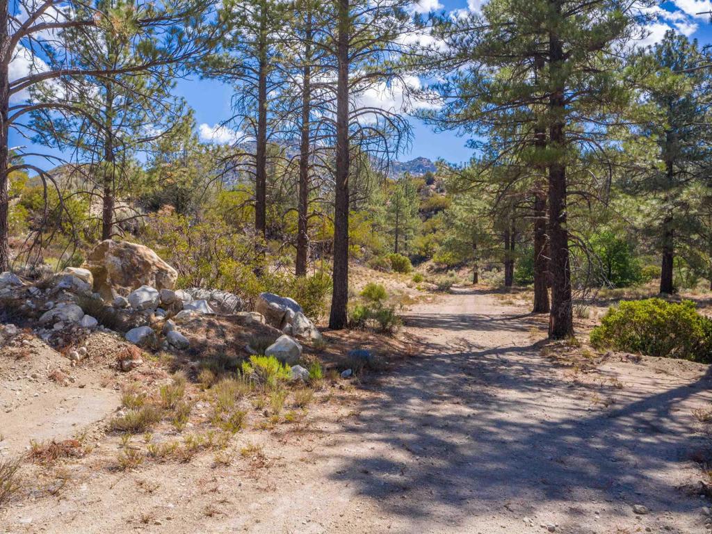 60833 Table Mountain Road Mountain Center, CA 92561 - Photo 6 of 35