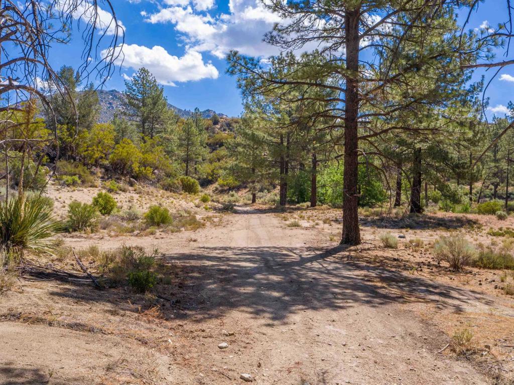 60833 Table Mountain Road Mountain Center, CA 92561 - Photo 7 of 35