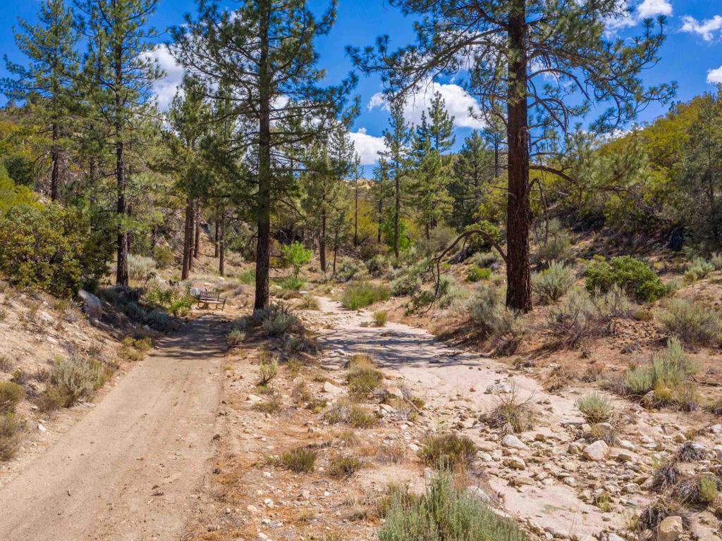 60833 Table Mountain Road Mountain Center, CA 92561 - Photo 8 of 35
