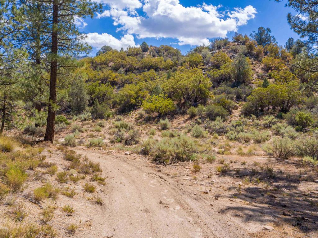 60833 Table Mountain Road Mountain Center, CA 92561 - Photo 9 of 35