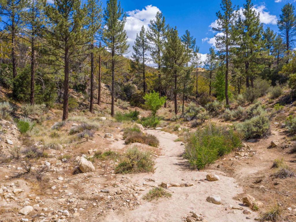 60833 Table Mountain Road Mountain Center, CA 92561 - Photo 10 of 35