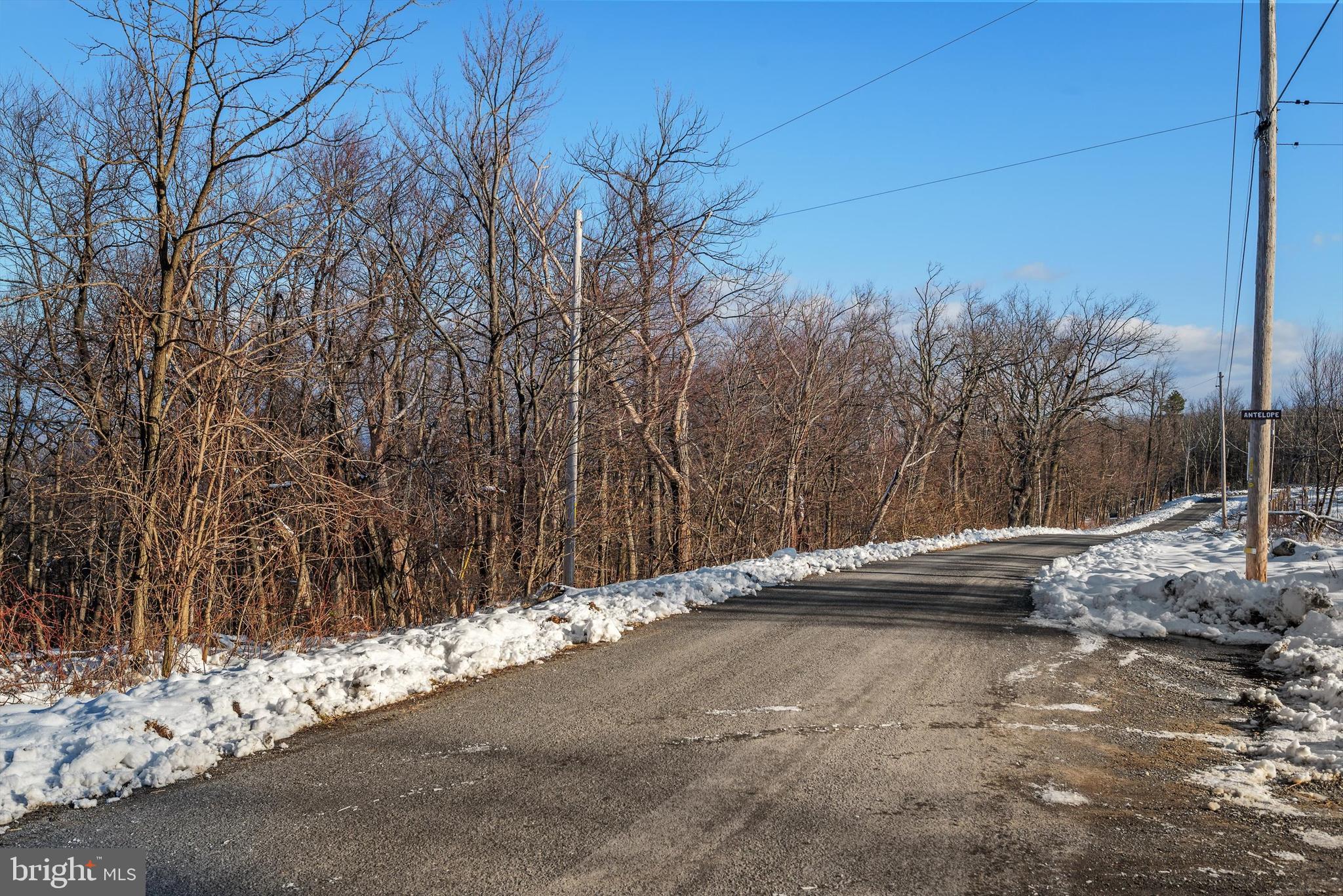 100.05 Acres- Shawneeland Winchester, VA 22602 - Photo 3 of 18 a backyard of a house with lots of green space