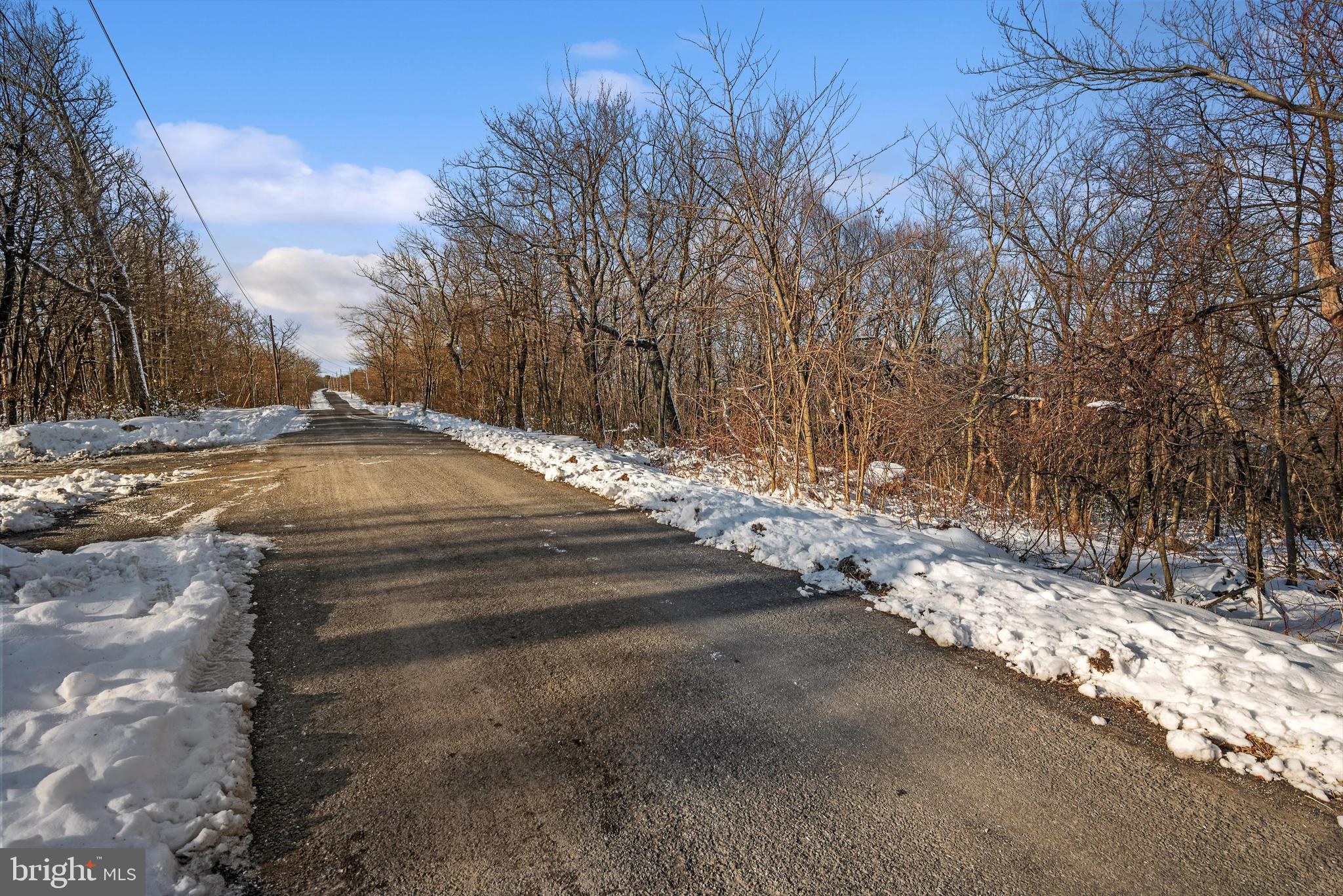 100.05 Acres- Shawneeland Winchester, VA 22602 - Photo 5 of 18