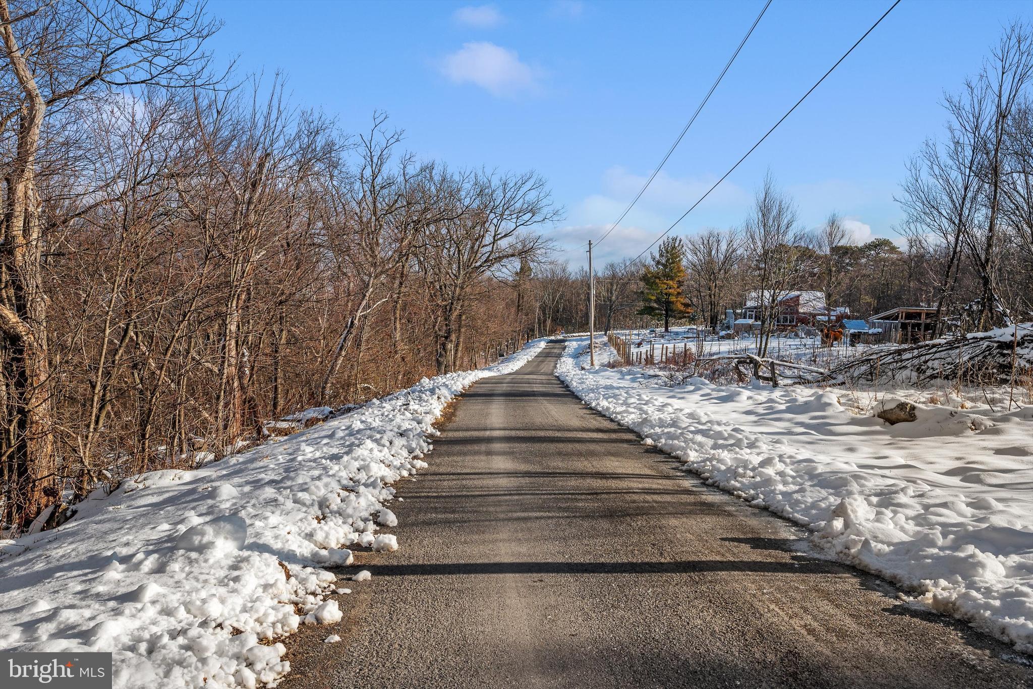 100.05 Acres- Shawneeland Winchester, VA 22602 - Photo 6 of 18 a view of outdoor space with trees