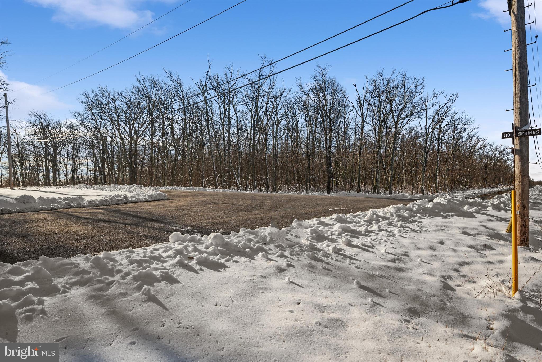 100.05 Acres- Shawneeland Winchester, VA 22602 - Photo 7 of 18 a view of a backyard of the house