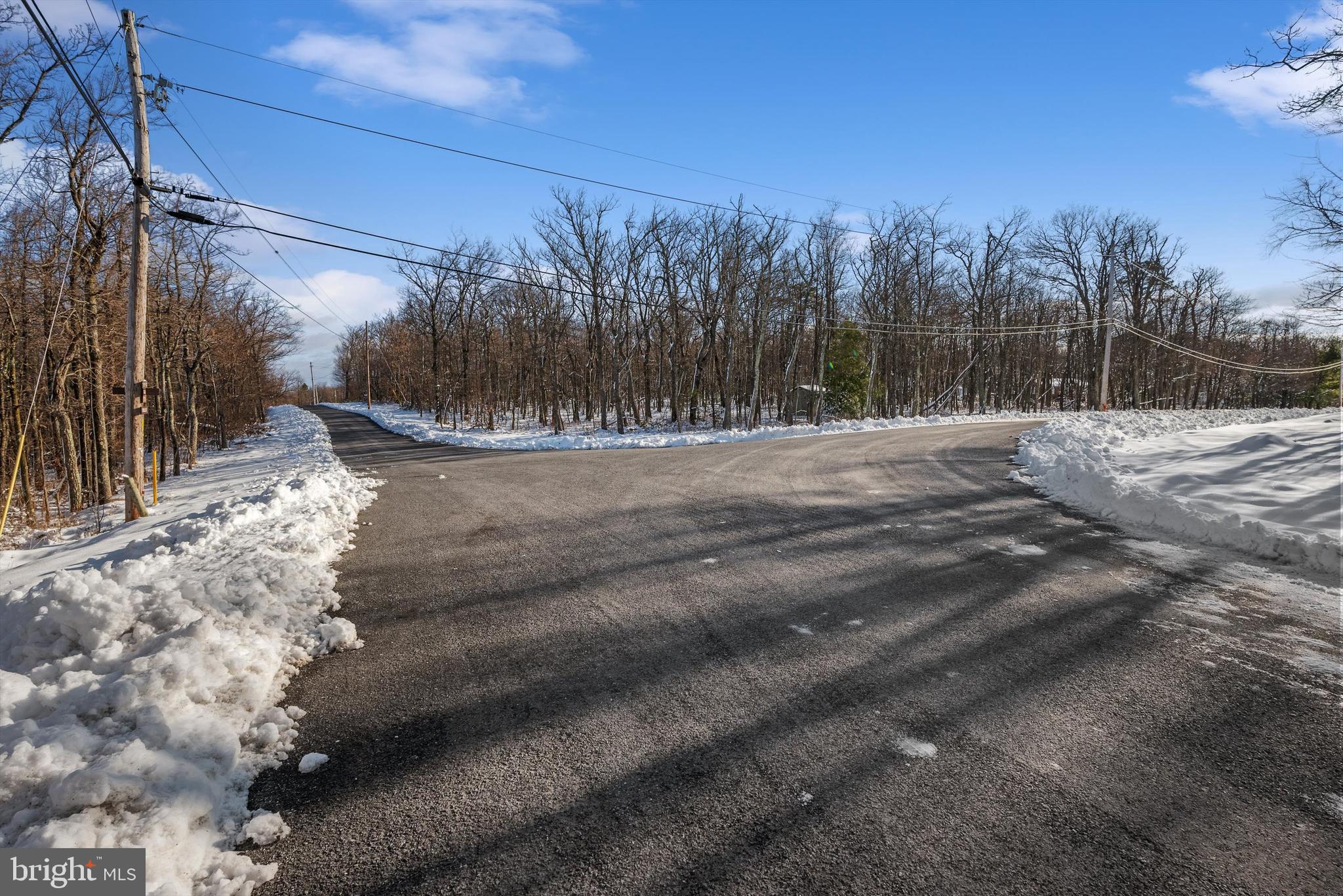 100.05 Acres- Shawneeland Winchester, VA 22602 - Photo 9 of 18 a view of a yard with tree s