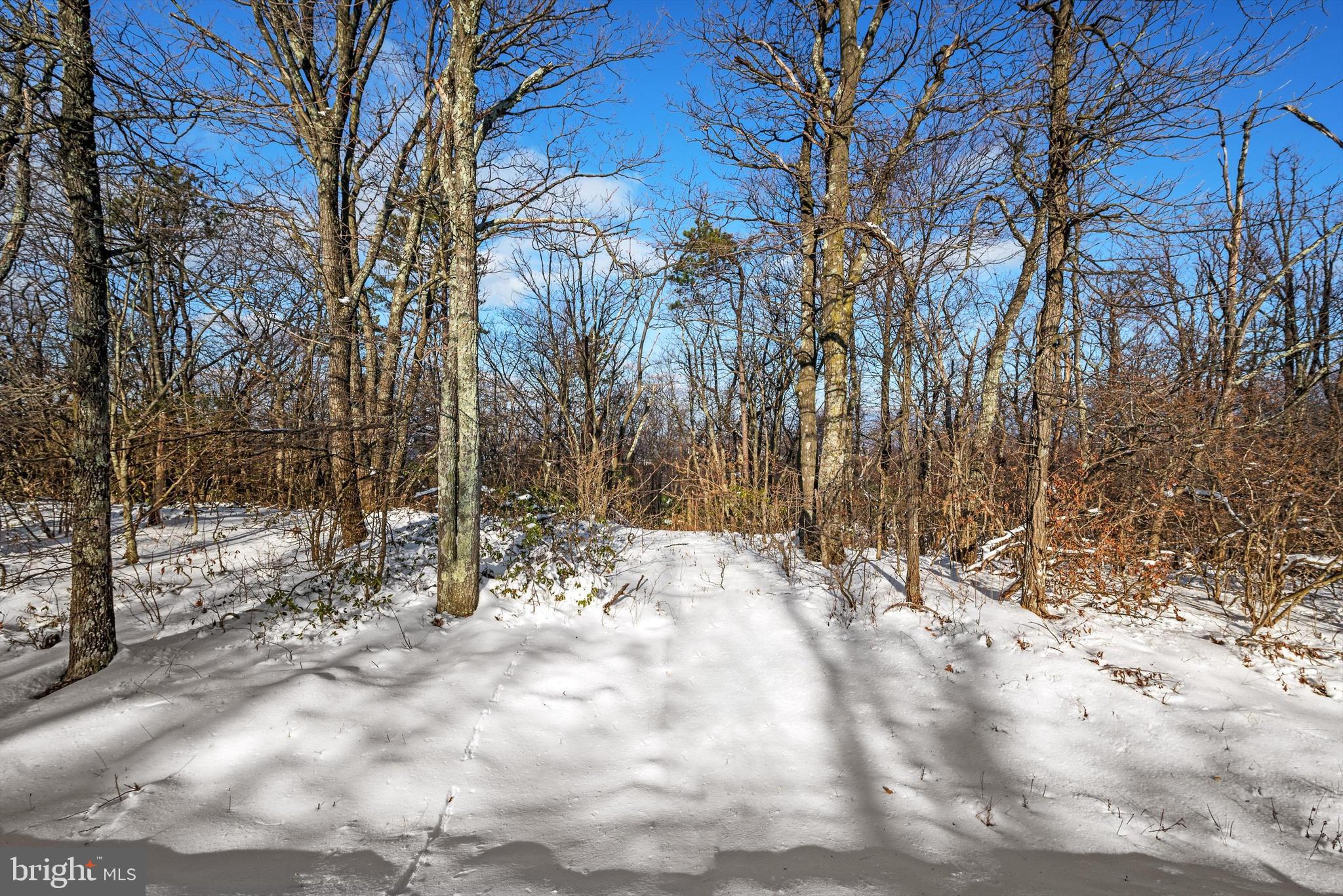 100.05 Acres- Shawneeland Winchester, VA 22602 - Photo 10 of 18