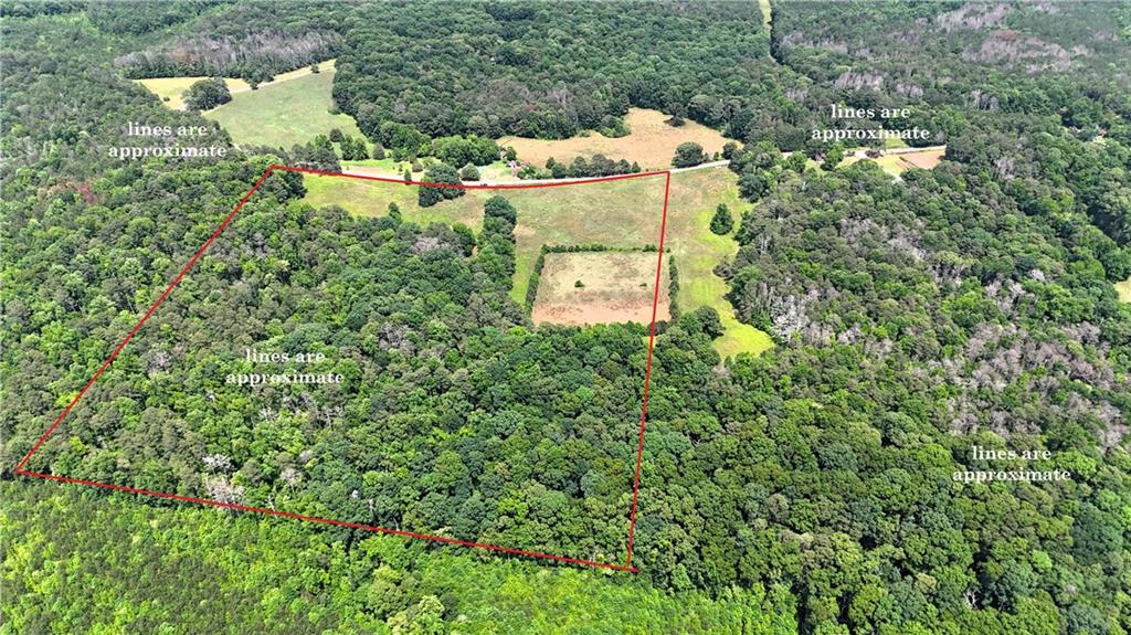 1 Melear Road Bowdon, GA 30108 - Photo 2 of 51