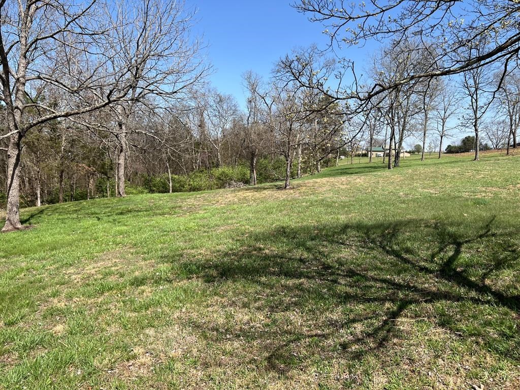 0 Sullivan Pointe Point Dandridge, TN 37725 - Photo 2 of 5