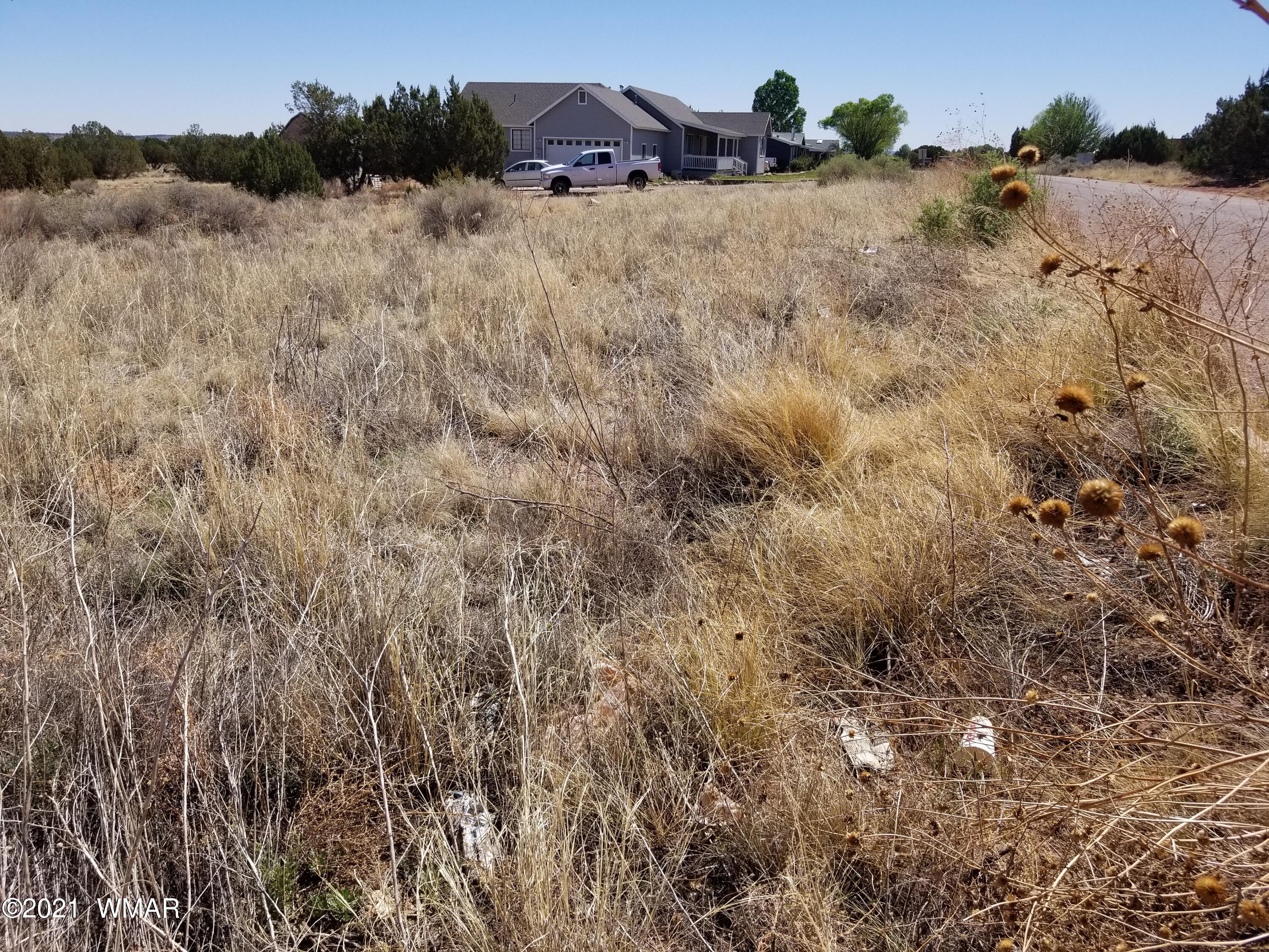 Lot 33 Ridgeview Snowflake, AZ 85937 - Photo 18 of 30