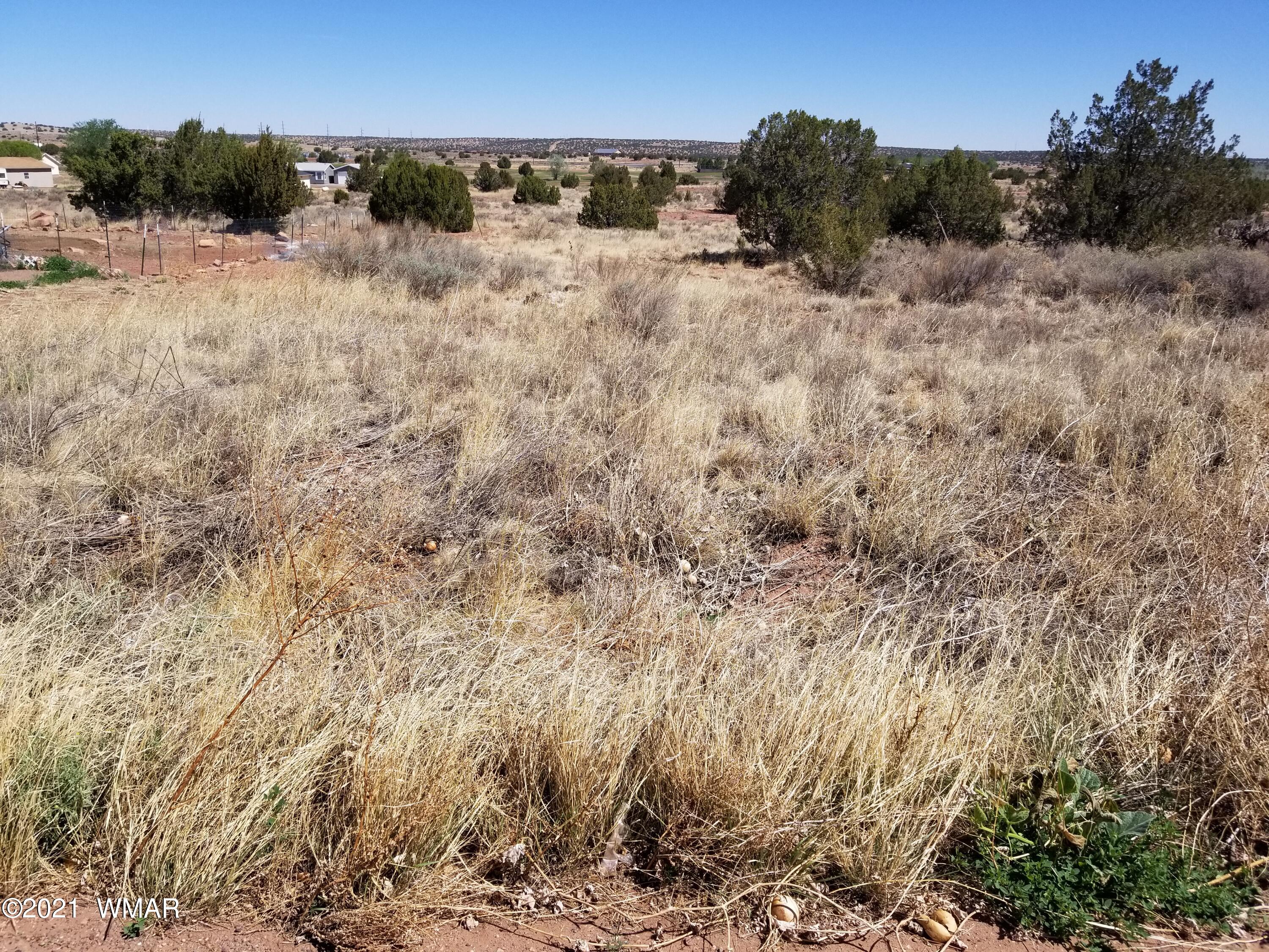Lot 33 Ridgeview Snowflake, AZ 85937 - Photo 2 of 30
