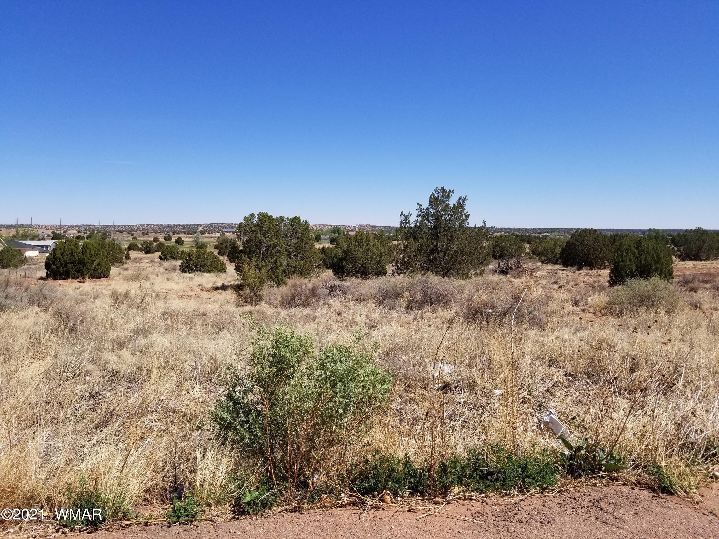 Lot 33 Ridgeview Snowflake, AZ 85937 - Photo 26 of 30