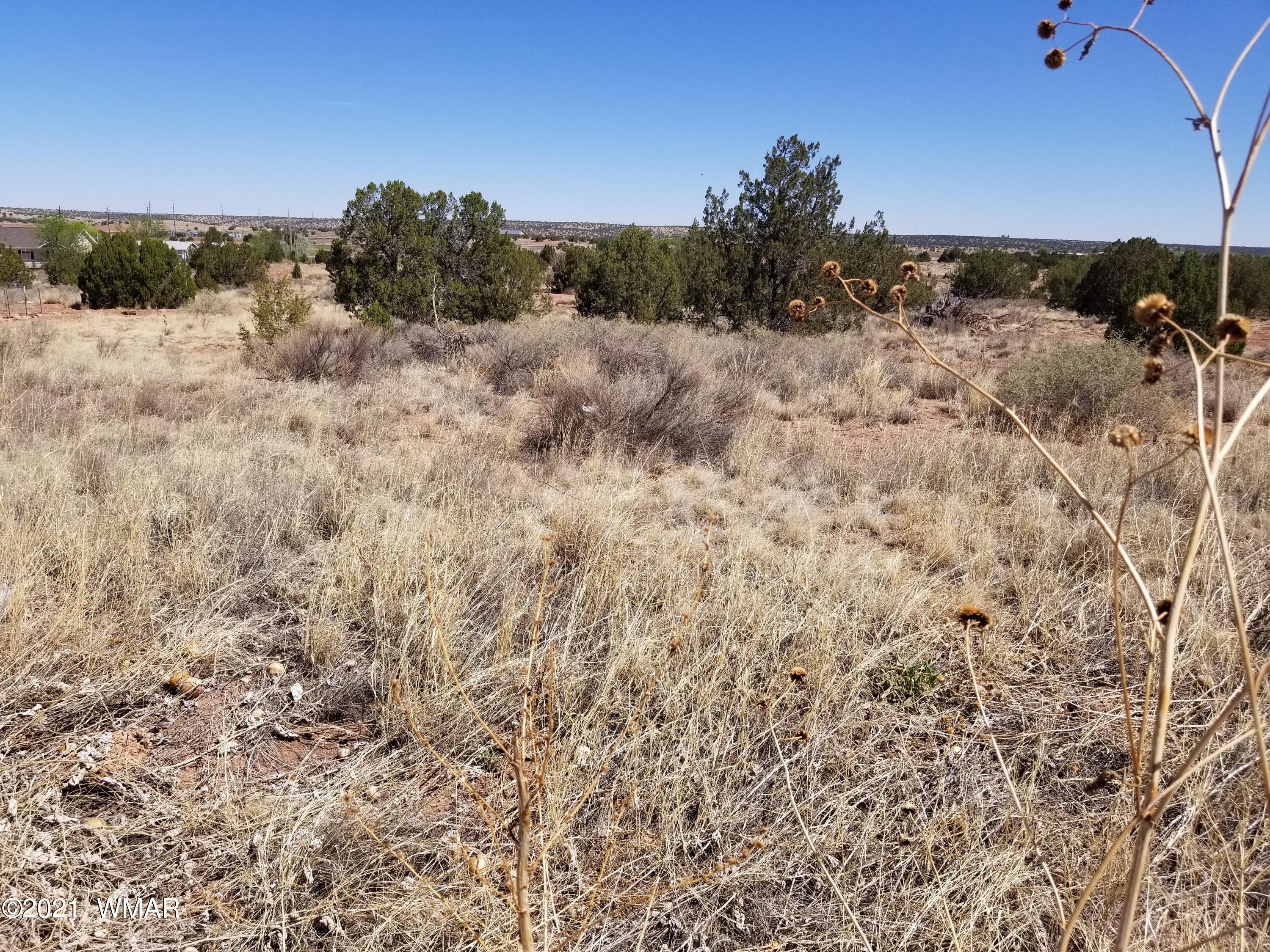 Lot 33 Ridgeview Snowflake, AZ 85937 - Photo 27 of 30