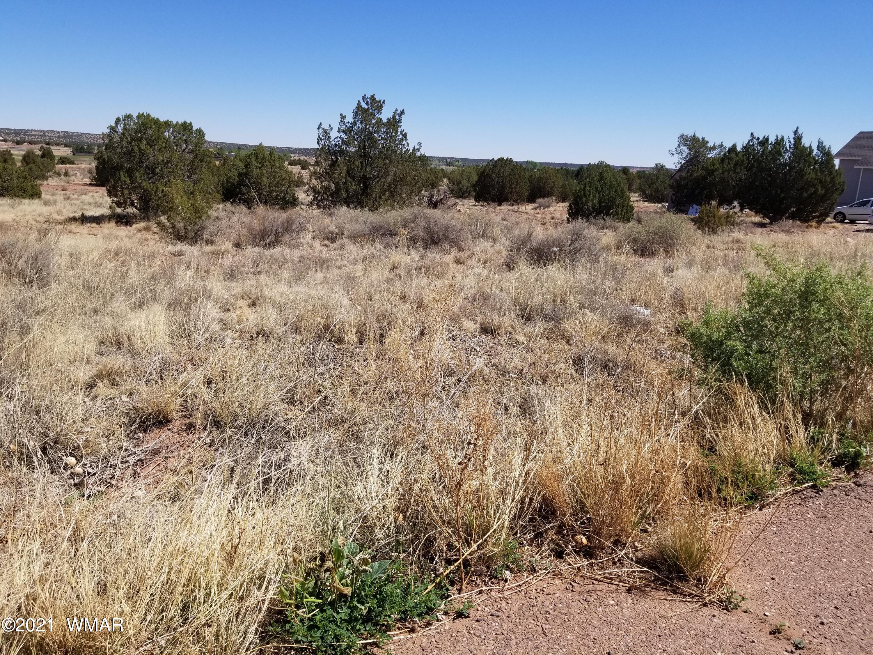 Lot 33 Ridgeview Snowflake, AZ 85937 - Photo 3 of 30