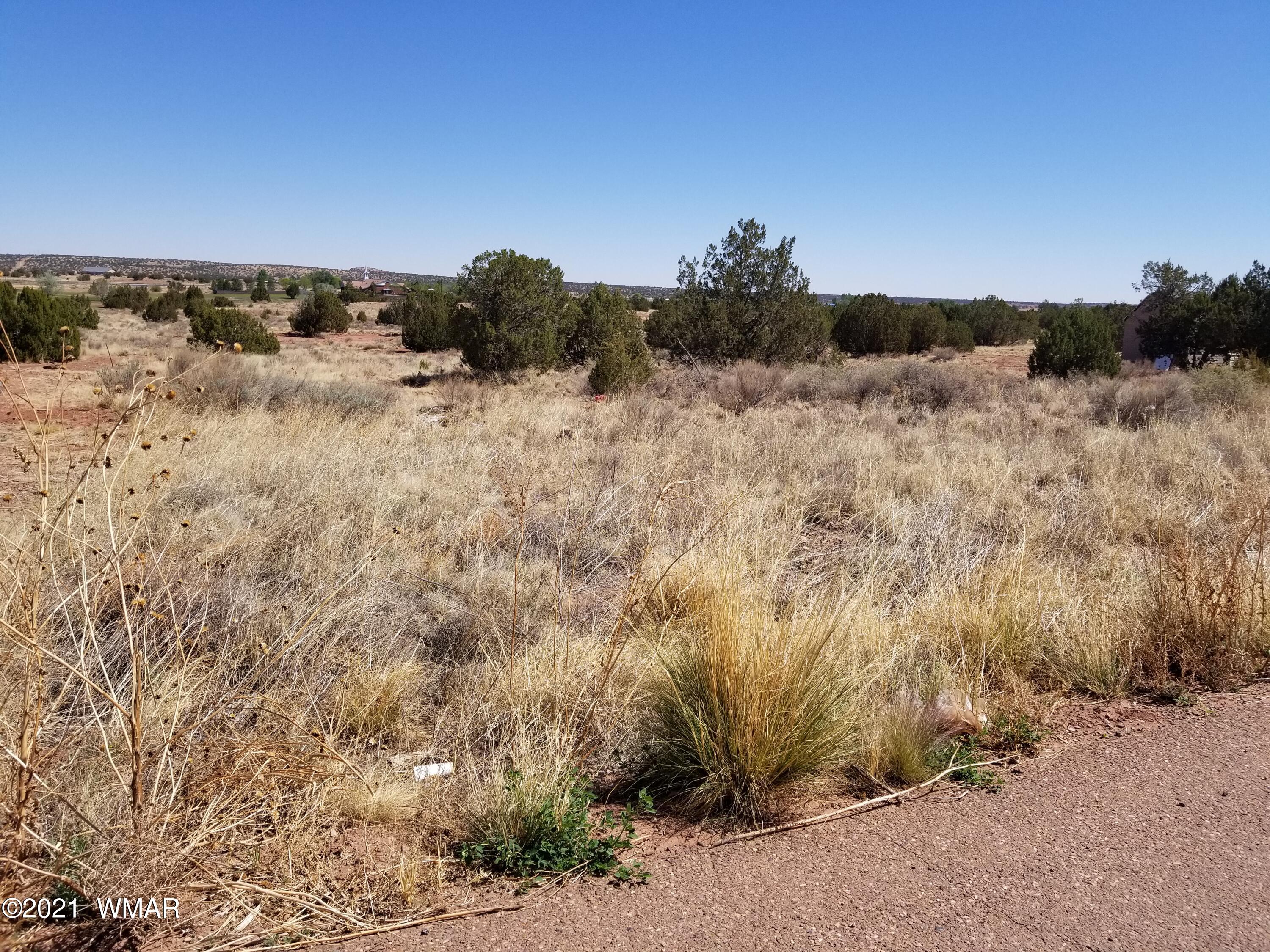 Lot 33 Ridgeview Snowflake, AZ 85937 - Photo 4 of 30