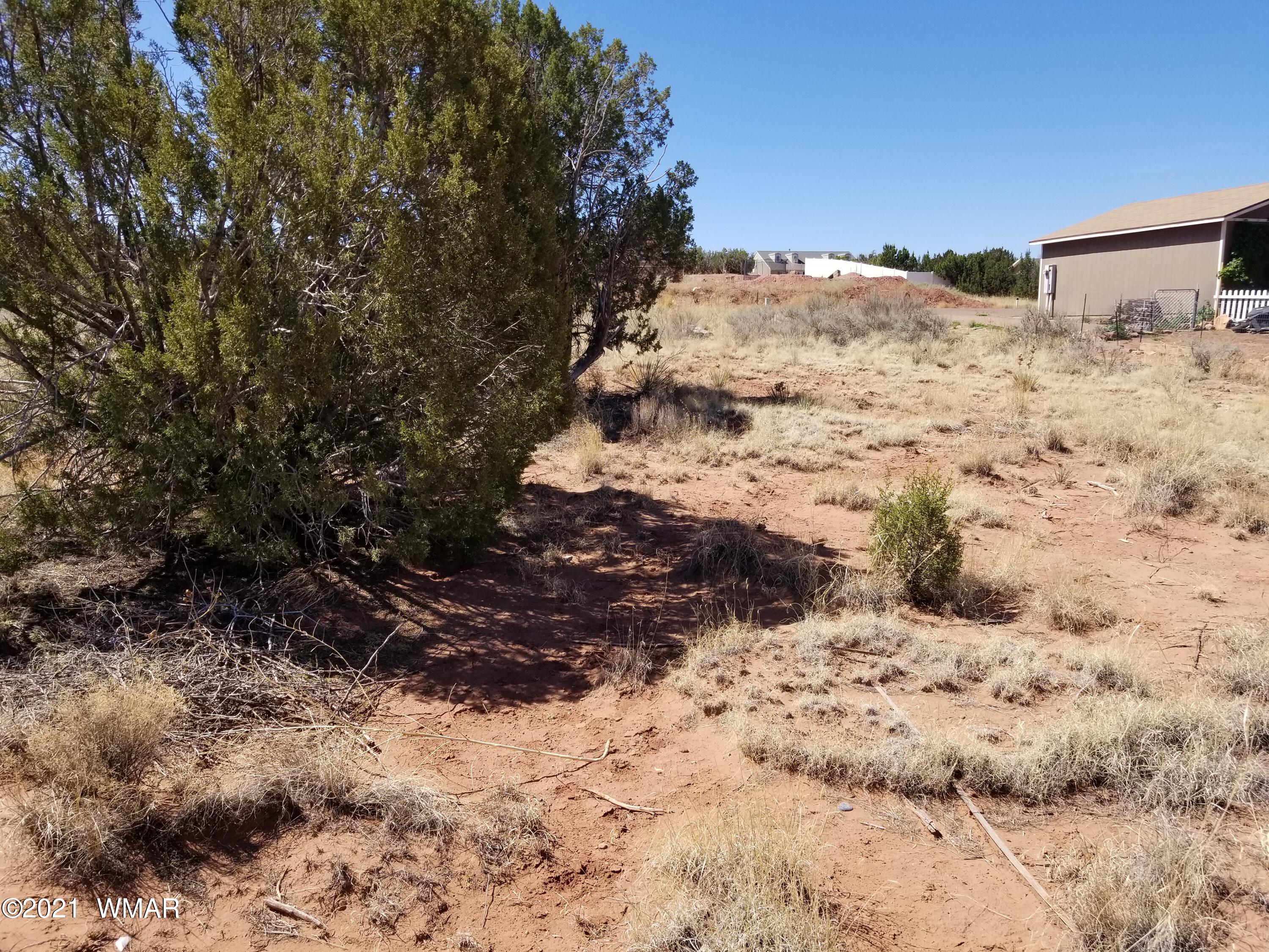 Lot 33 Ridgeview Snowflake, AZ 85937 - Photo 7 of 30