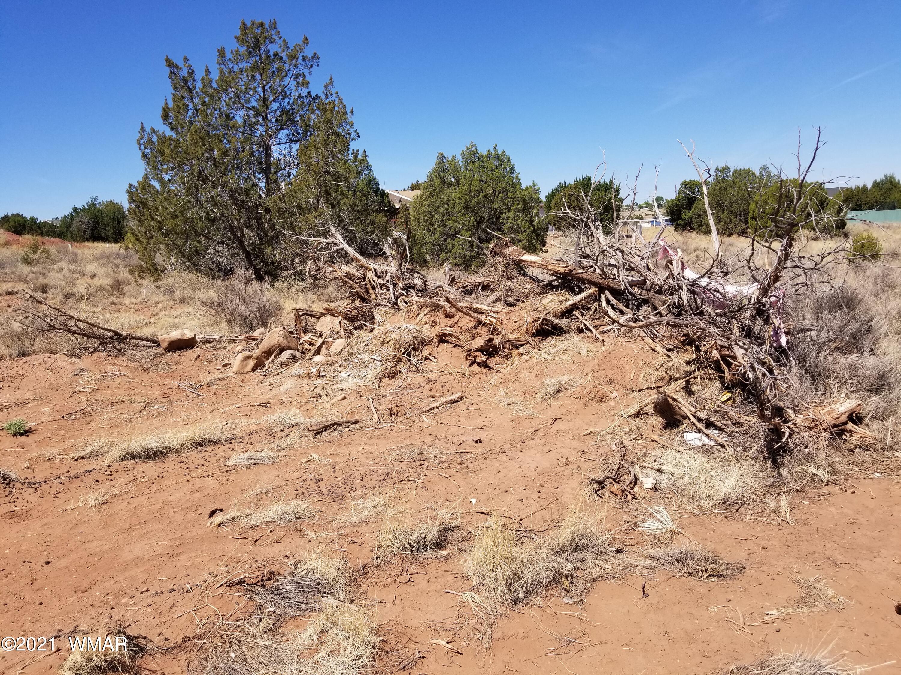 Lot 33 Ridgeview Snowflake, AZ 85937 - Photo 8 of 30