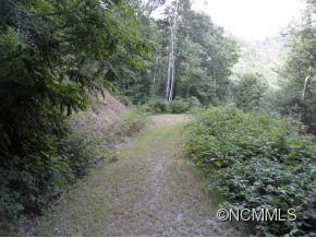 Lot #1 Bent Tree Road, Unit 1 Maggie Valley, NC 28751 - Photo 3 of 22